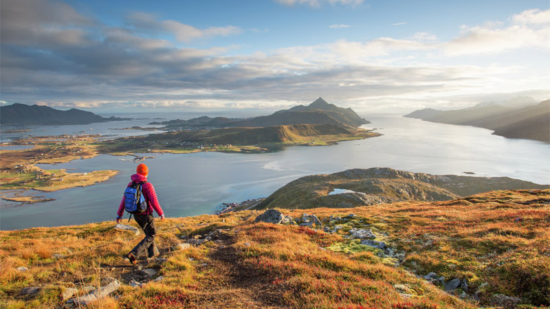 Visit Lofoten